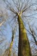 DSC_0364.jpg