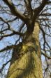 DSC_0331.jpg