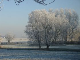 DSC08383.JPG