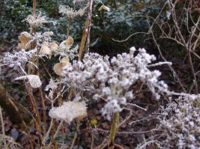 DSC08385.JPG