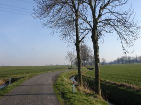 DSC09084.JPG