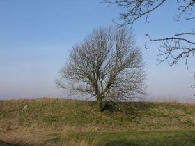 DSC09092.JPG
