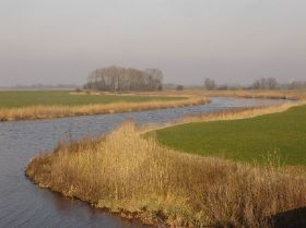 DSC09116.JPG